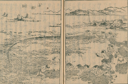 伊勢海老漁の様子。現代の地引網に近い。