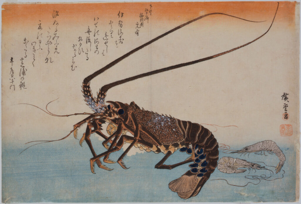 hiroshige_iseebi_shibaebi_1200